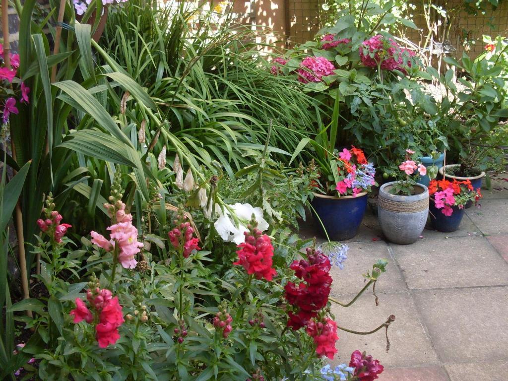 Cambridge House Guest House Истбурн Номер фото